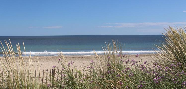 Appartement Rez De Jardin Avec Spa Entre La Mer Et Montpellier 10Mn Lattes Exteriör bild